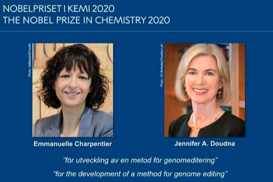 Emmanuelle Charpentier et Jennifer A. Doudna ont reçu le prix Nobel de chimie pour leur technique qui a révolutionné la technologie génétique et leur a valu certains des prix les plus importants ; parmi eux, le prix Princesse des Asturies pour la recherche en 2015