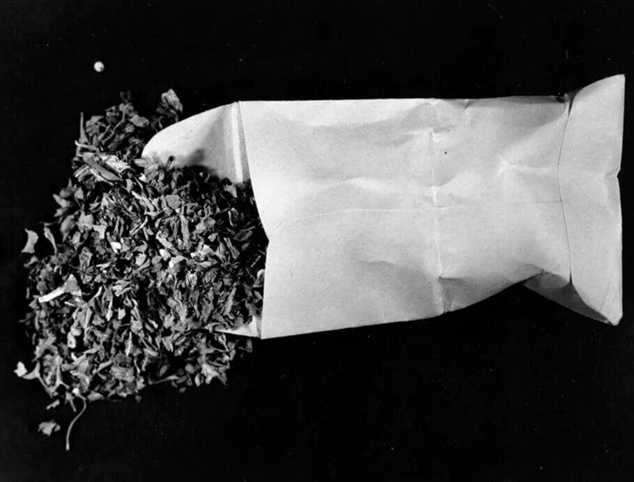 Paquets d'origan vendus par la police de DC dans le cadre de l'opération `` Oregano Scam '' sur Chapin Street en 1981