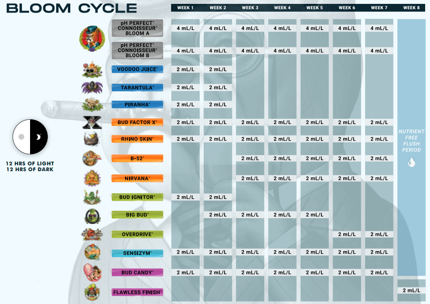 Tableau nutritionnel pour Connoisseur Bloom A+B, stade de floraison, pour la culture en terre