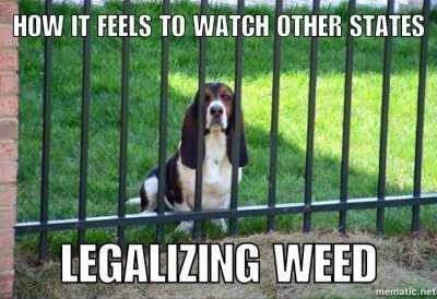 "Comment vous sentez-vous lorsque vous voyez d'autres États légaliser l'herbe"