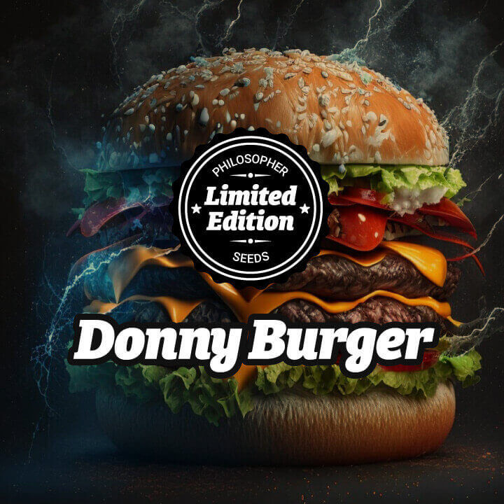 Donny Burger par Philosopher Seeds est un véritable hommage à l'une des variétés les plus populaires de ces dernières années, GMO