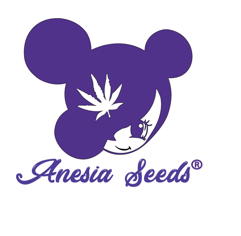 anesia-seeds