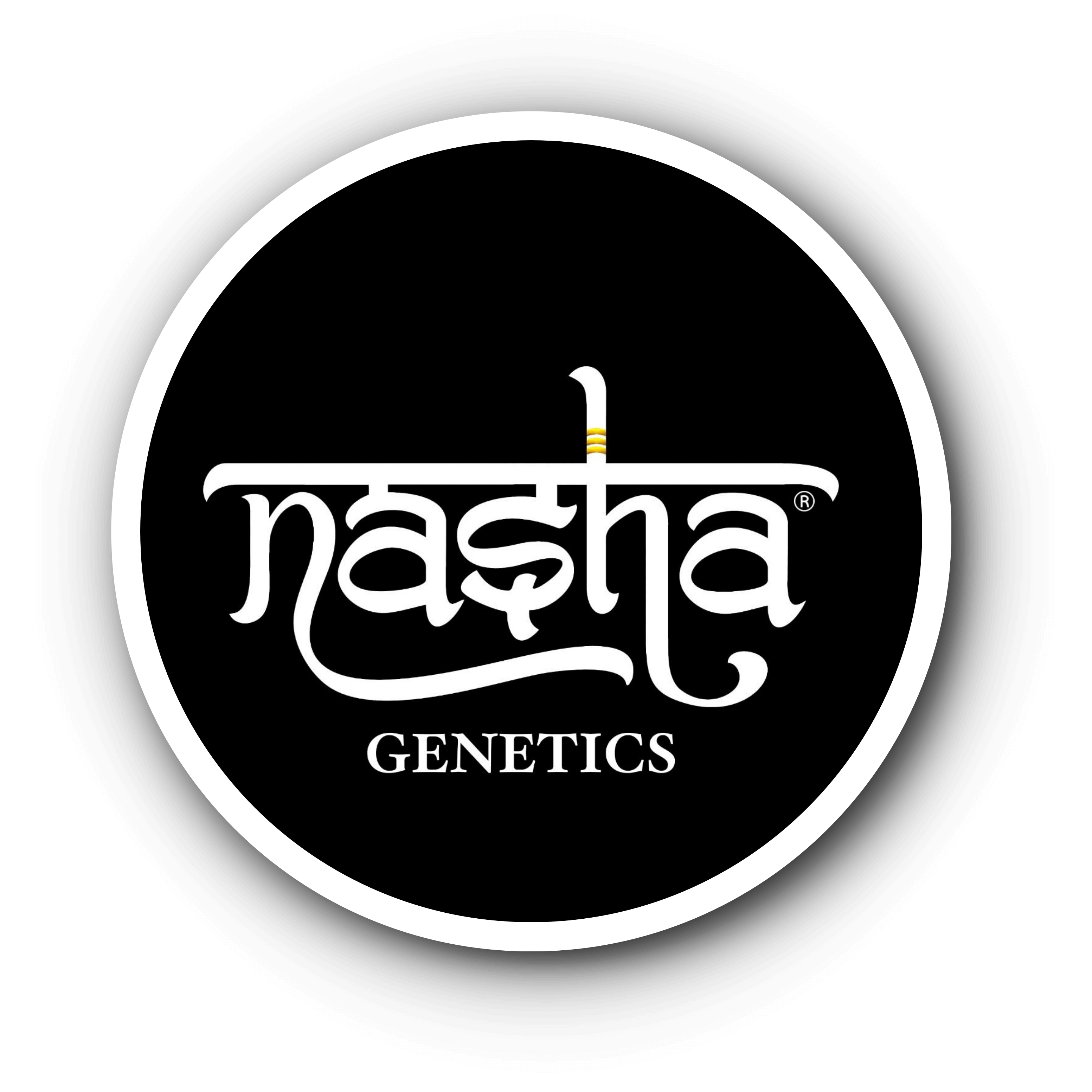 nasha-genetics