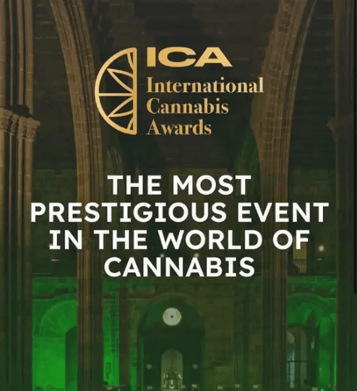 International Cannabis Awards, la récompense la plus prestigieuse du monde du cannabis