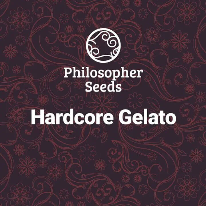 Image de Hardcore Gelato par Philosopher Seeds