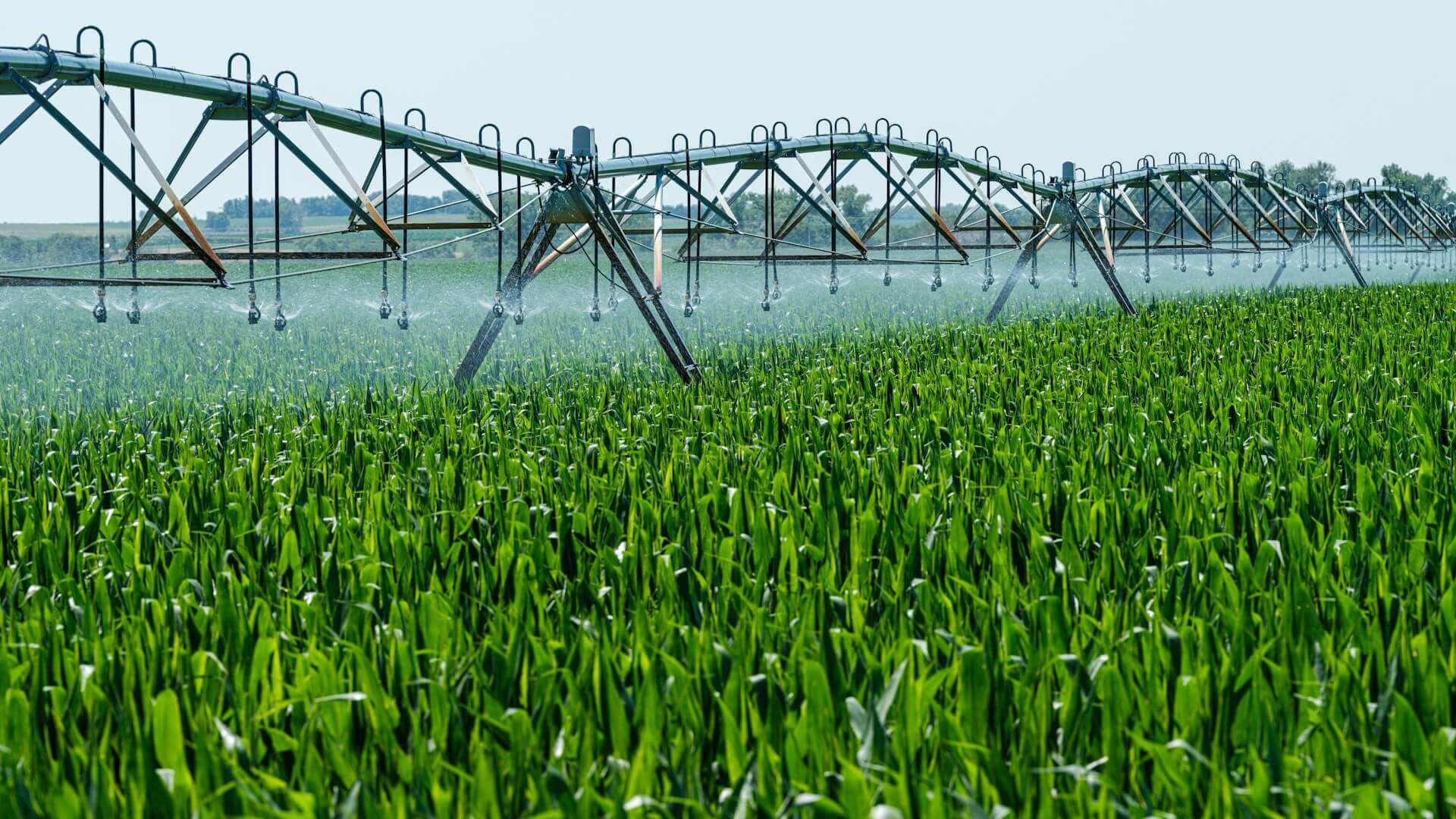 L’automatisation des tâches sur le terrain se fait depuis des décennies ; l'agriculture intelligente va encore plus loin (Image : Lumin Osity)