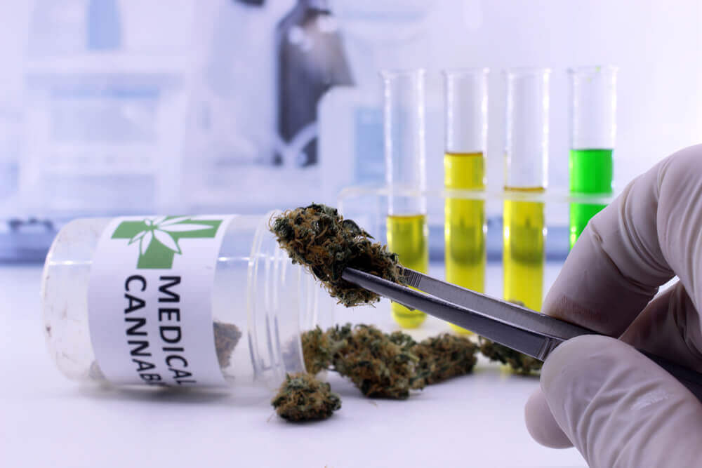 Les analyses de fleurs et d'extraits de cannabis sont de plus en plus courantes