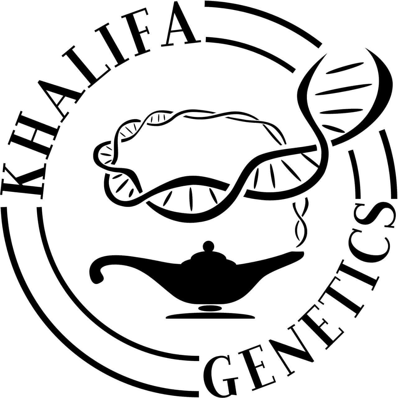 Khalifa Genetics est spécialisé dans l'amélioration génétique des variétés locales et le développement d'hybrides F1