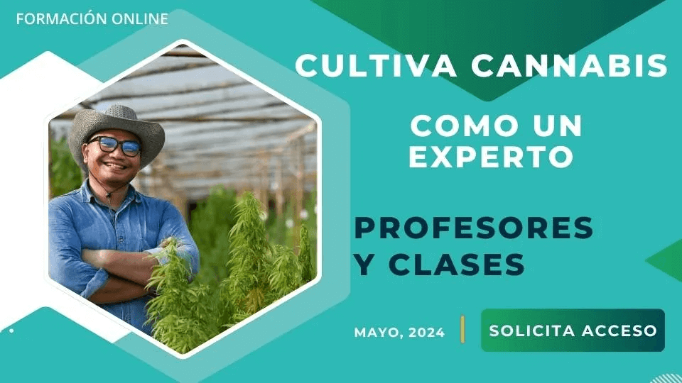 cultivez comme un expert avec CannabisHub et l'Université de Barcelone