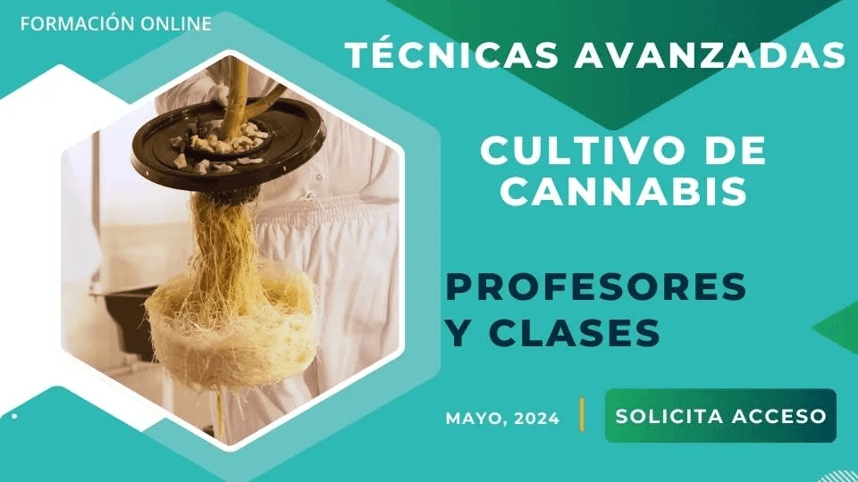 vous apprendrez des techniques de culture professionnelles