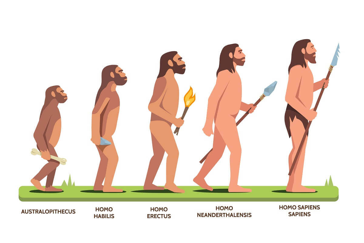 La théorie du singe défoncé: évolution et psilocybine