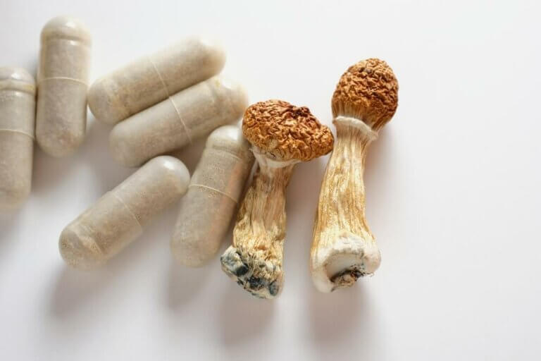 Comment connaître le dosage des champignons magiques?