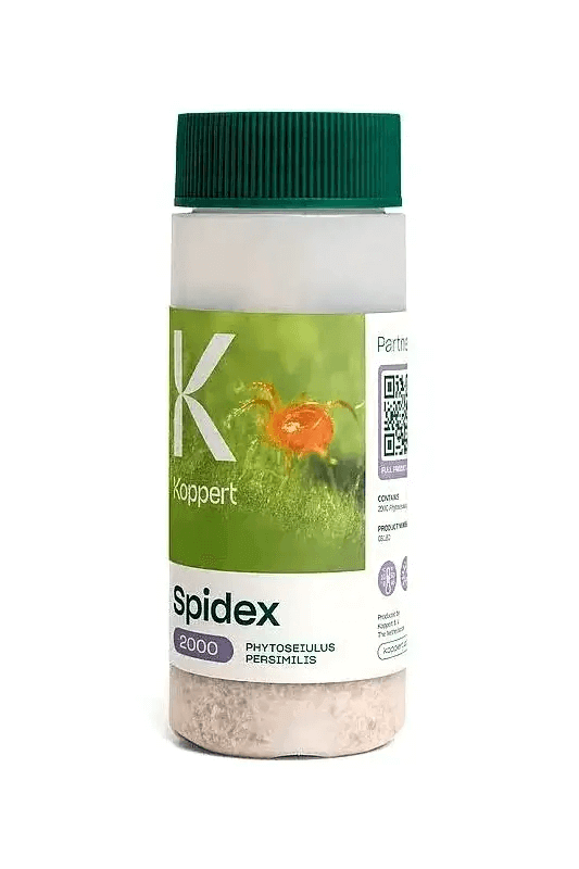 Le Spidex de Koppert est une excellente option pour prévenir et combattre les araignées rouges, l'un des ravageurs les plus redoutés de la culture en intérieur