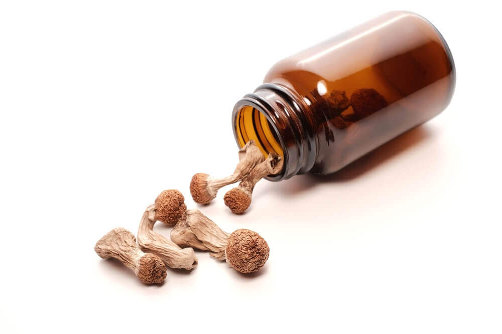 De manière générale, il est préférable de ne pas mélanger les champignons avec des stimulants ou des opiacés