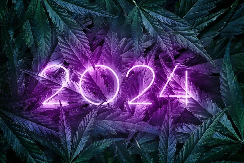 Variétés de cannabis les plus vendues en 2024