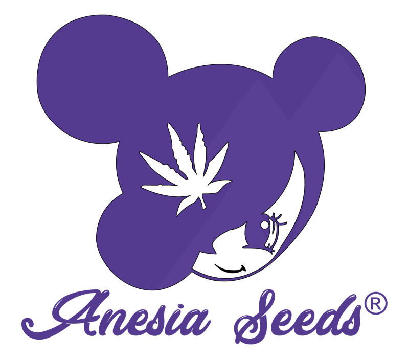 Anesia Seeds est synonyme d'innovation, de qualité...et de beaucoup de puissance!