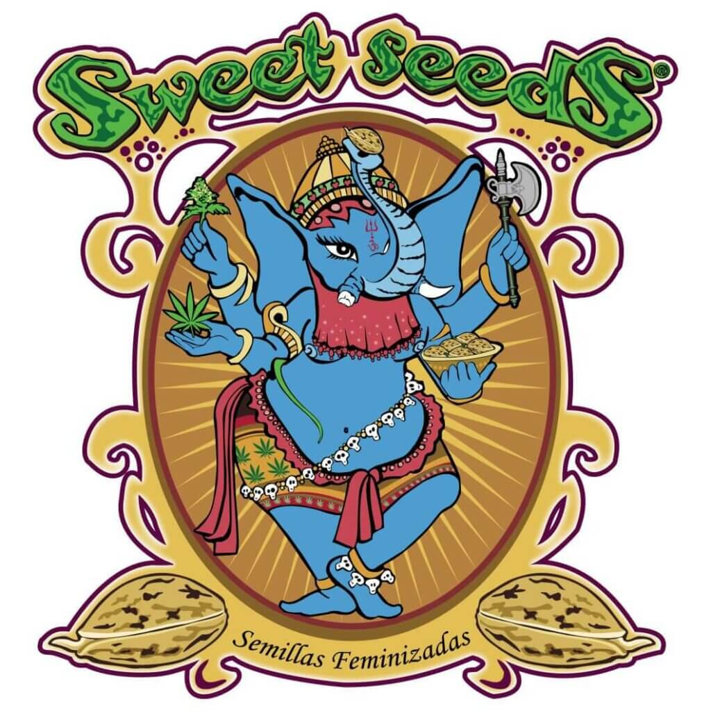 Sweet Seeds produit depuis 20 ans une large gamme de graines féminisées de haute qualité