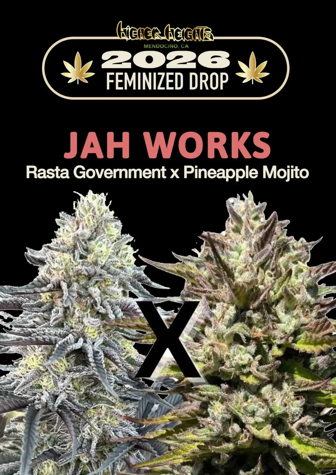 Jah Works
