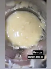 Melt Mode