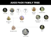 Juice Pack