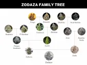 Zodaza