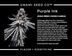 Purple Ink