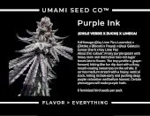 Purple Ink