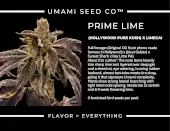 Prime Lime