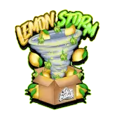 Lemon Storm
