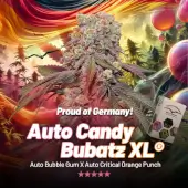 Candy Bubatz XL Auto