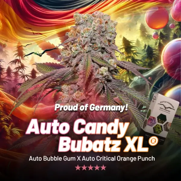Candy Bubatz XL Auto