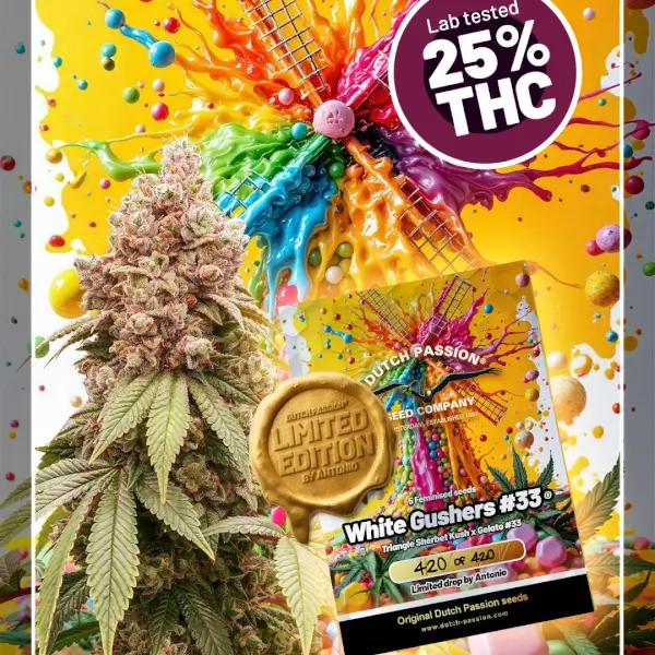 White Gushers #33 Limited Edition