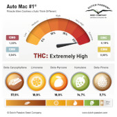 Auto Mac #1