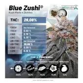 Blue Zushi