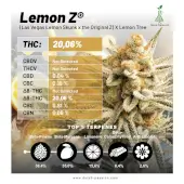 Lemon Z