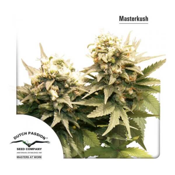 Masterkush