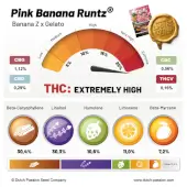 Pink Banana Runtz