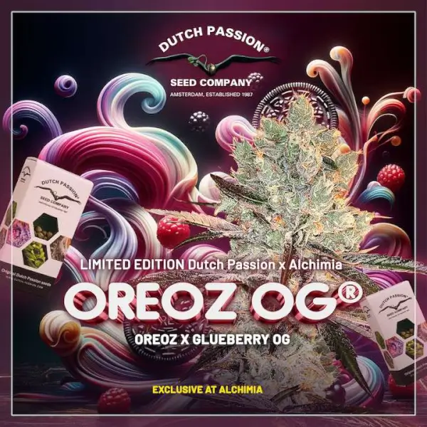 Oreoz OG Limited Edition