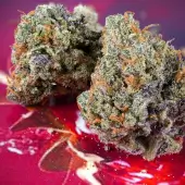 Auto Strawberry Soda