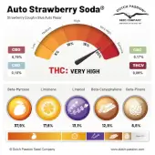 Auto Strawberry Soda