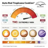 Auto Red Tropicana Cookies