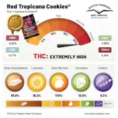 Red Tropicana Cookies Limited Edition
