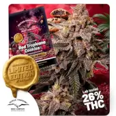 Red Tropicana Cookies Limited Edition