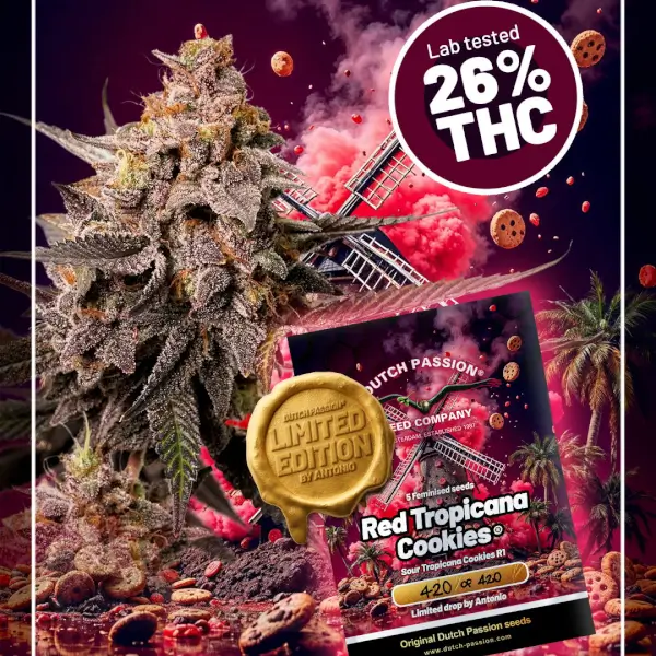 Red Tropicana Cookies Limited Edition