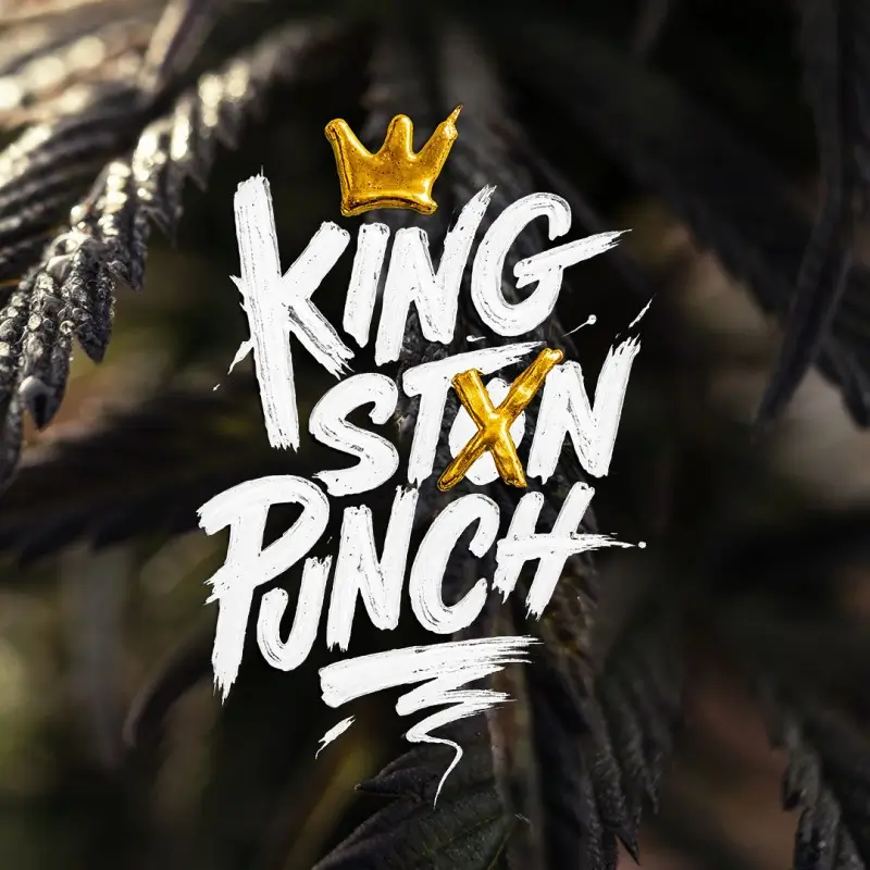 Kingston Punch