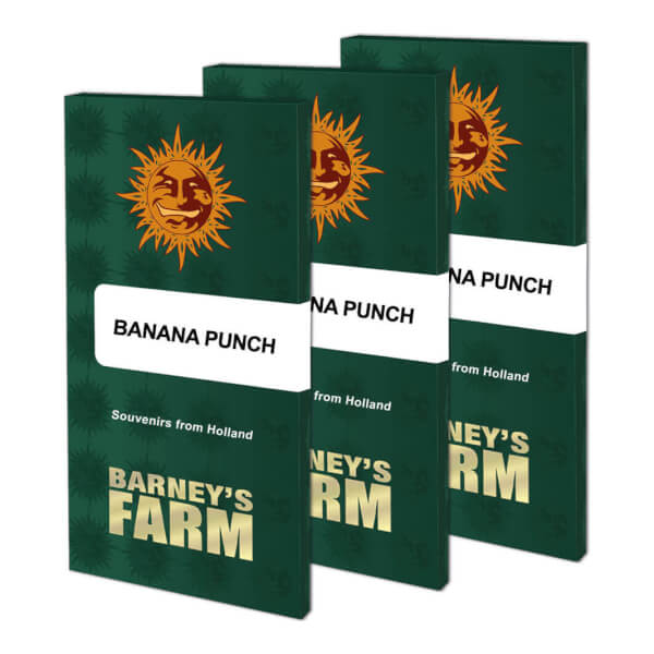Banana Punch