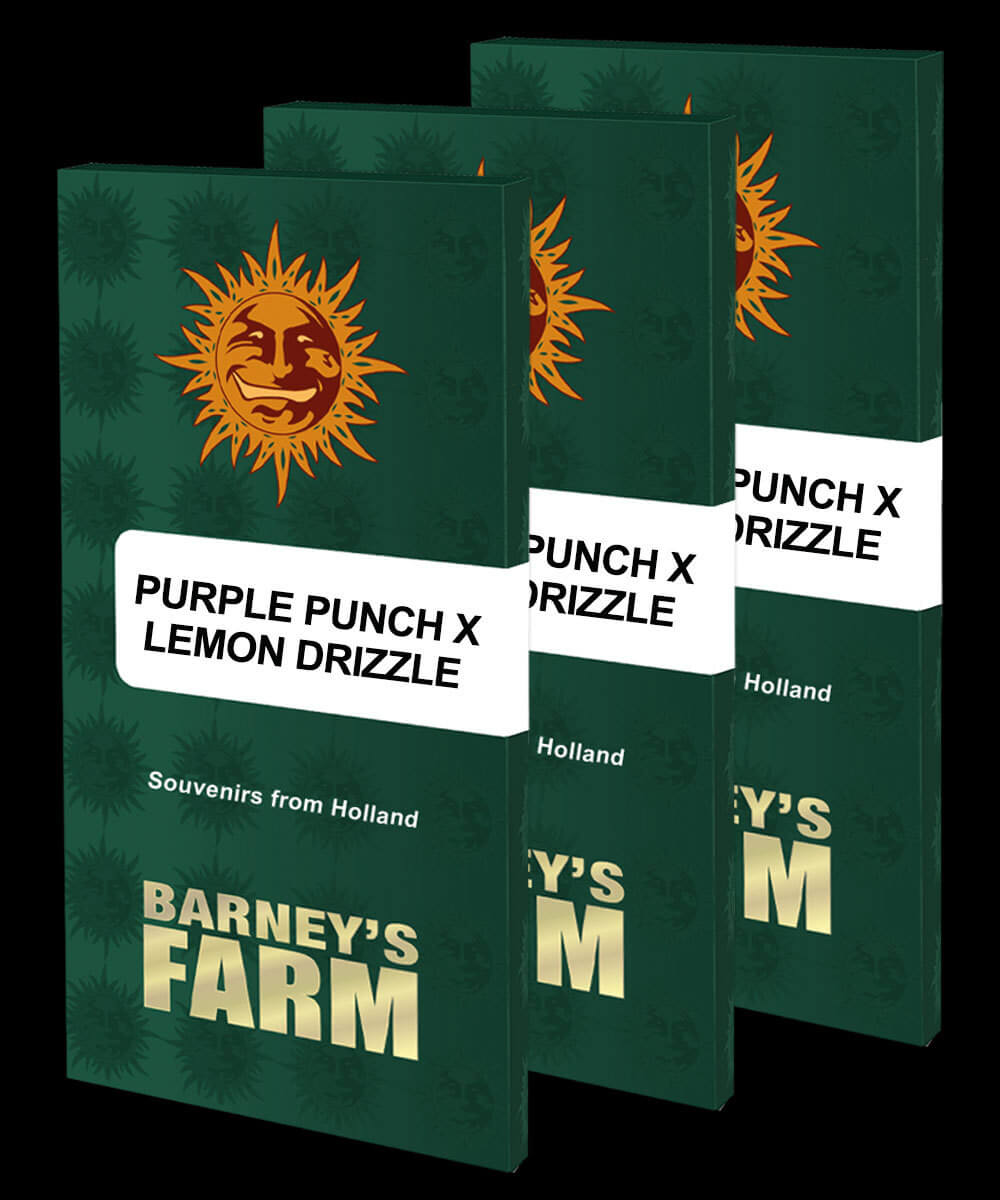 Purple Punch X Lemon Drizzle