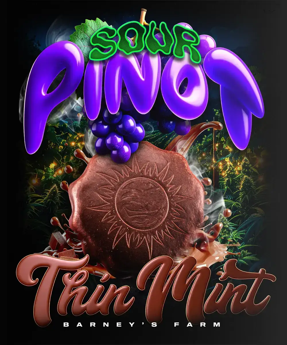 Thin Mint X Sour Pinot Auto