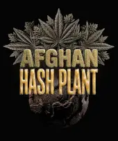 Afghan Hash Plant Auto