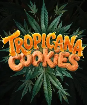 Tropicana Cookies Auto F1